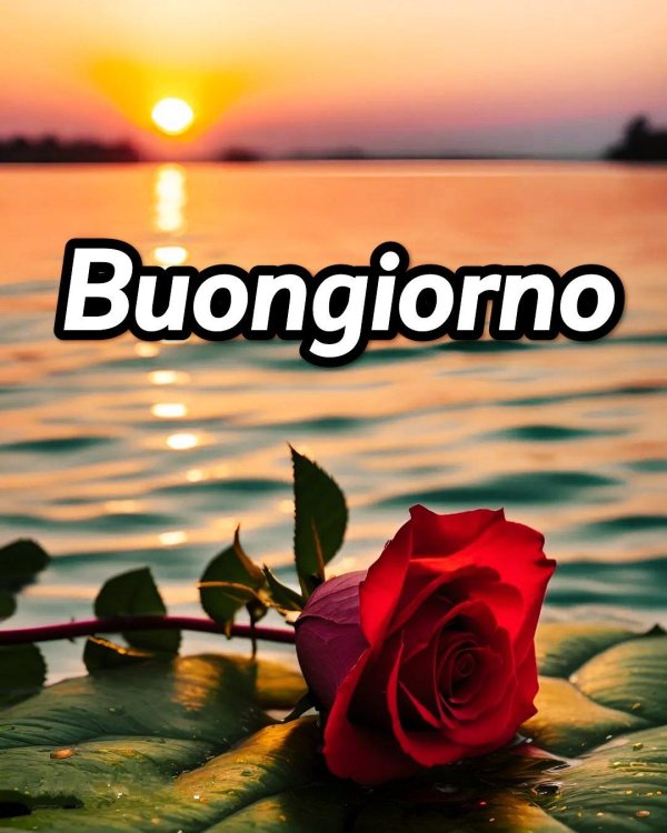 buongiorno amore