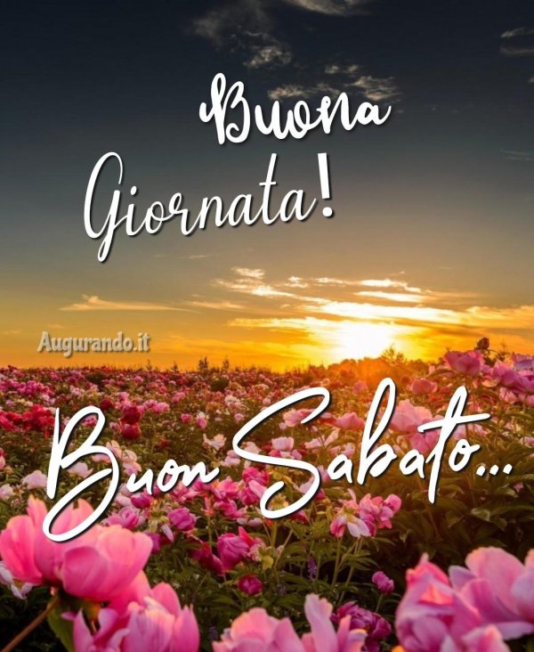 buon sabato