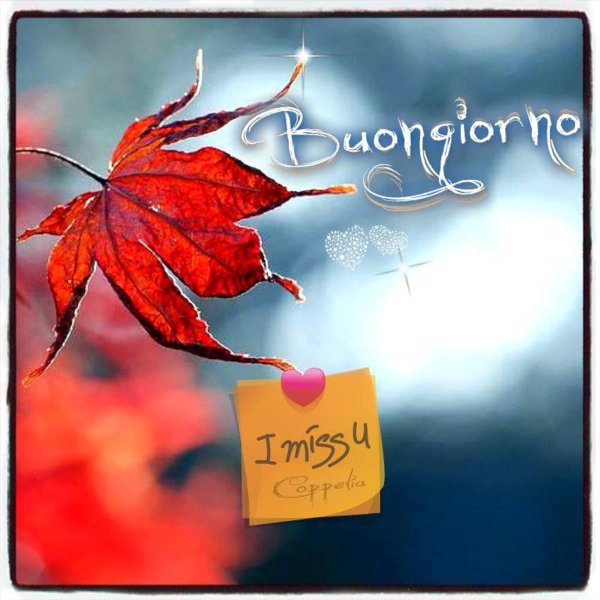 открытки на итальянском языке