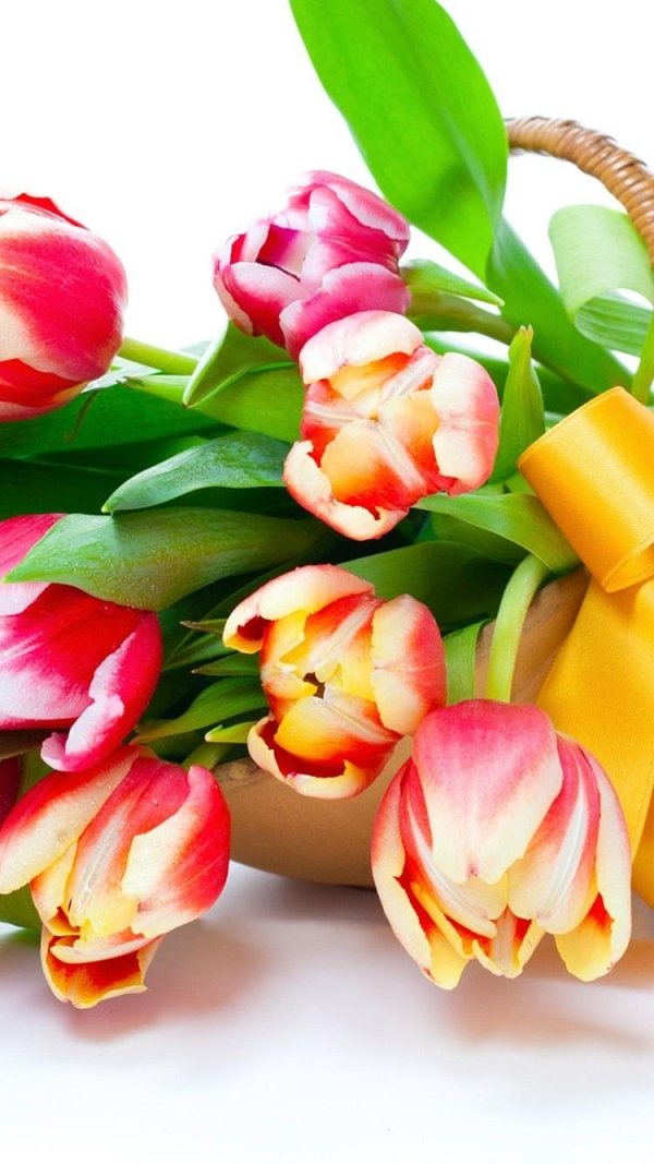 букет тюльпан