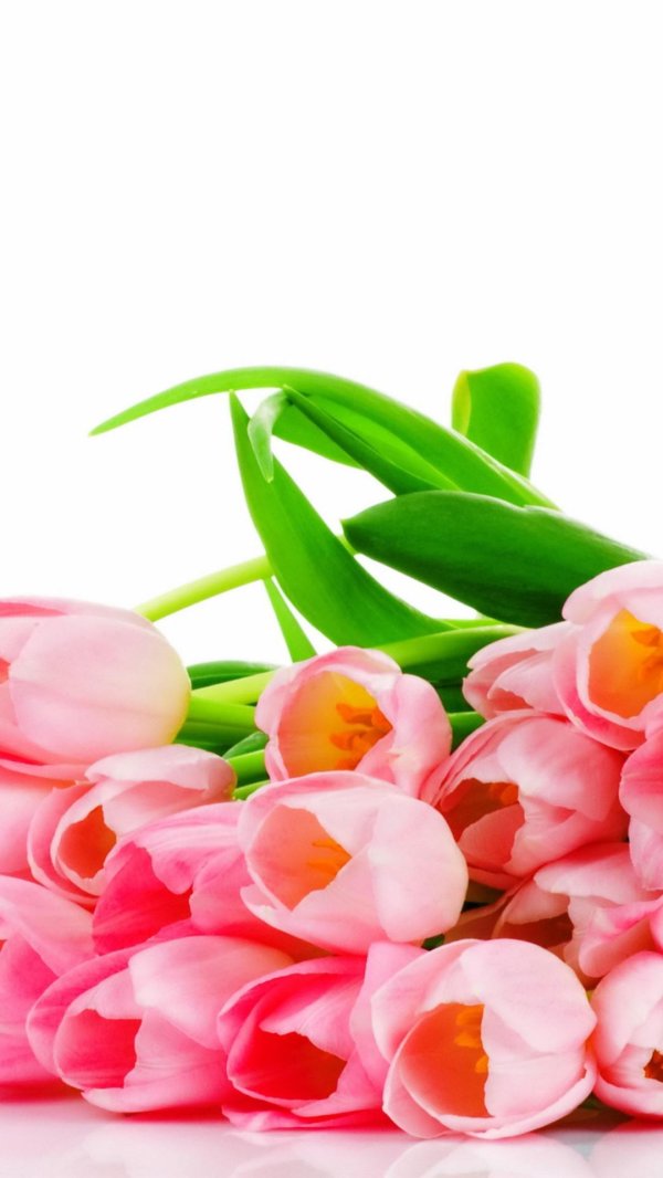 букет тюльпанов розовых