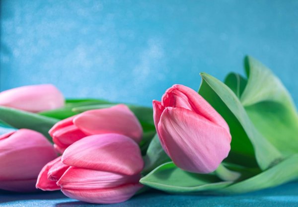 весенний букет