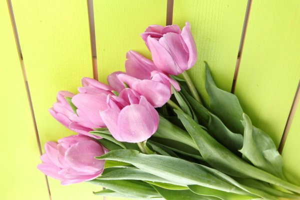 букет тюльпанов розовых