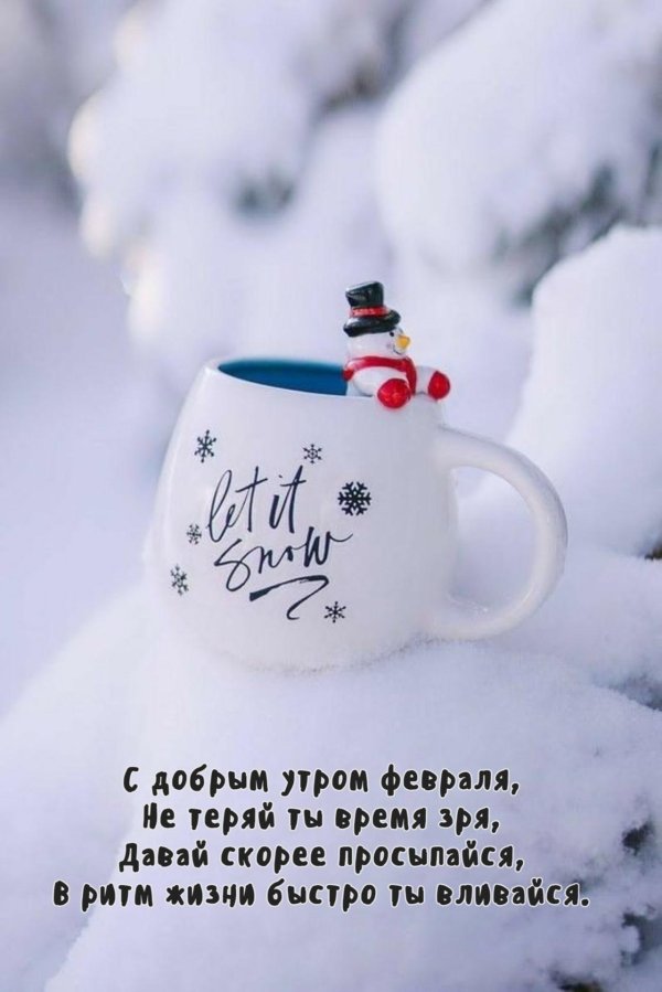 снежное утро