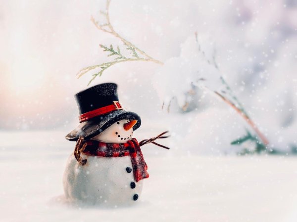 новогодние снеговики