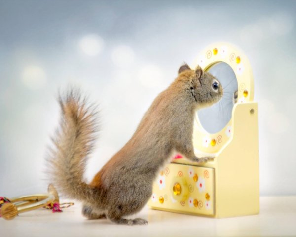 доброе утро с белками