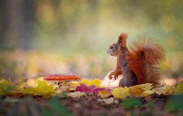 вадим трунов белки