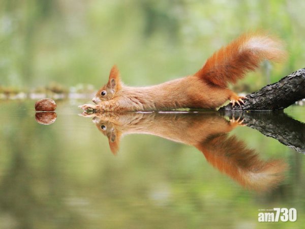 джулиан рад