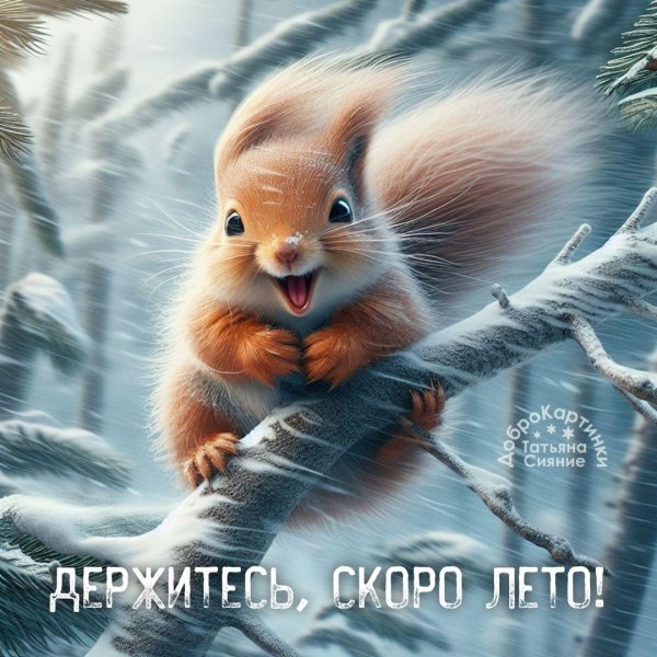 белочка красивая