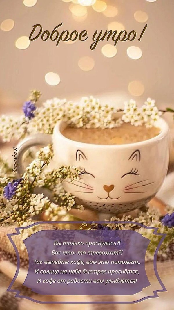 добра утра