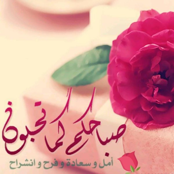 мусульманские пожелания