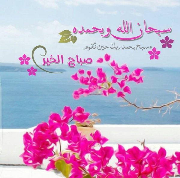 бугенвиллия турция