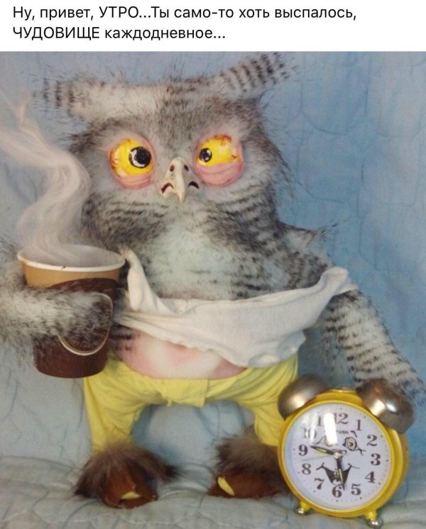 утро ты само то хоть выспалось