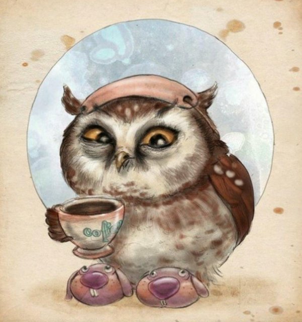 елена саморядова совы