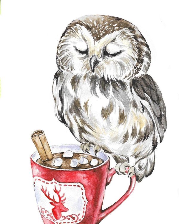 совы лиа селина