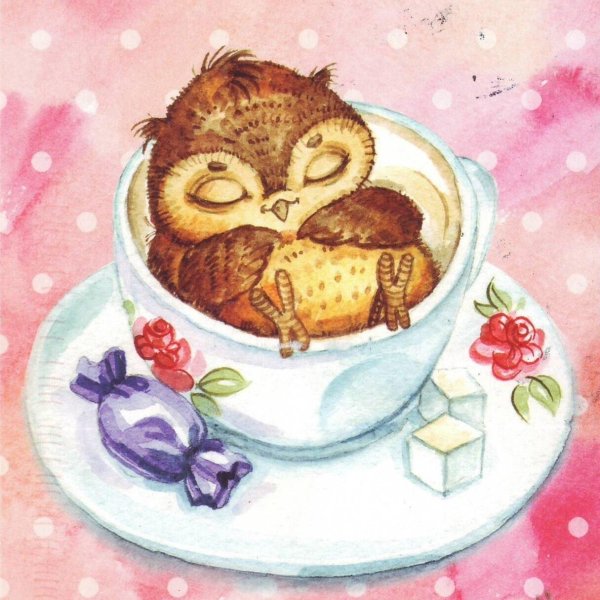 инга пальцер совы