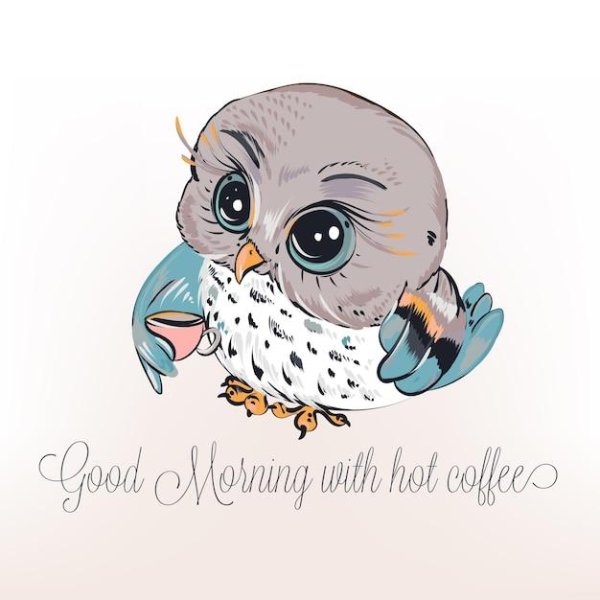 совушки и кофе