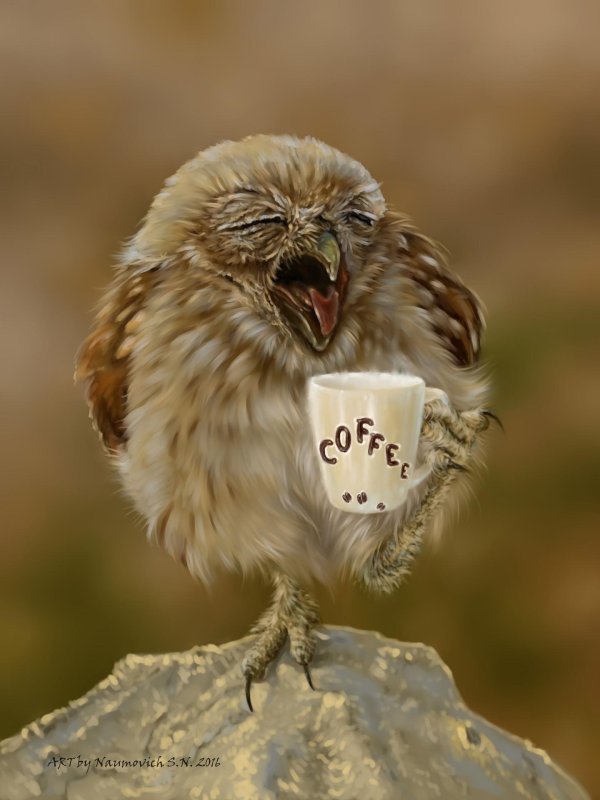 сонная сова