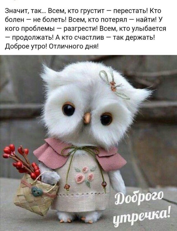 доброе утро смешные