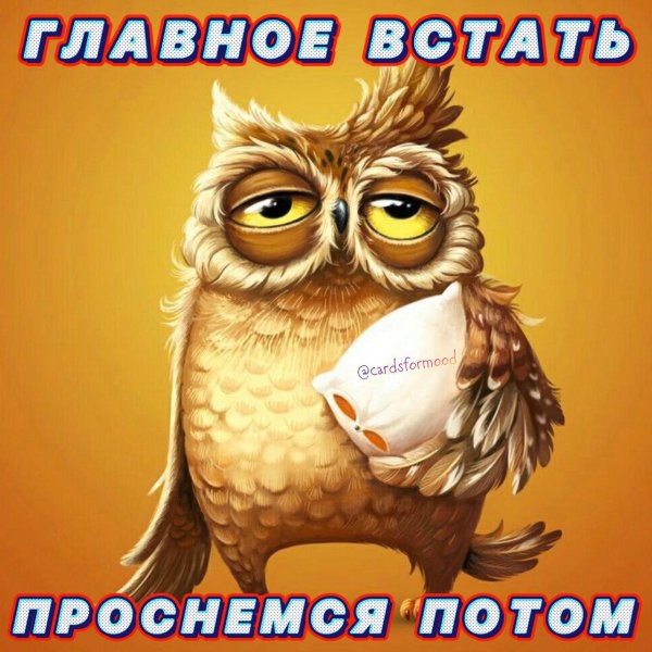 совы мультяшные