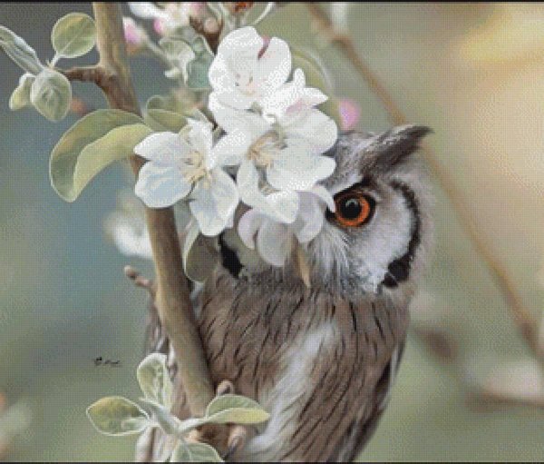 животные птицы