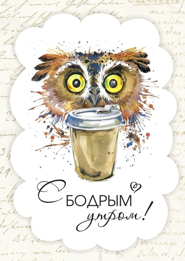 доброе утро совушка