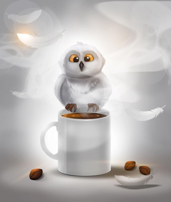 сова кофе