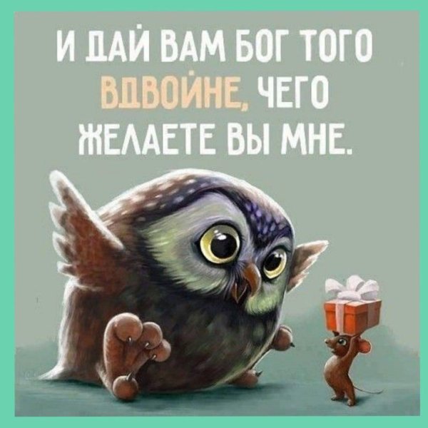 совы лиа селина