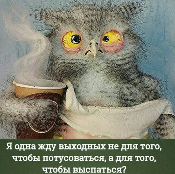 выспались доброе утро