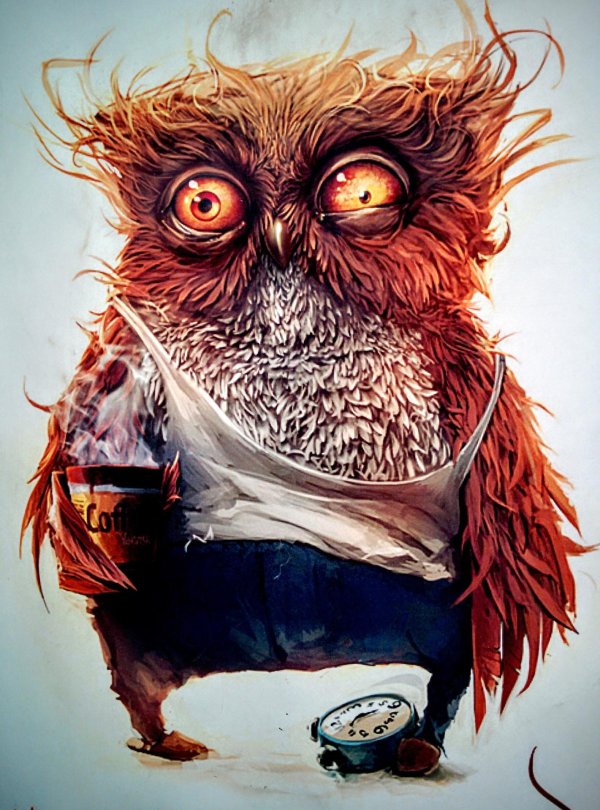 сумасшедшая сова