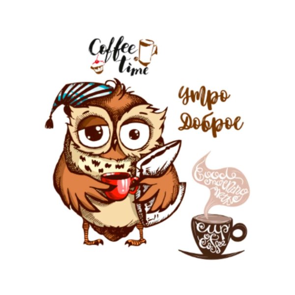 сонная сова