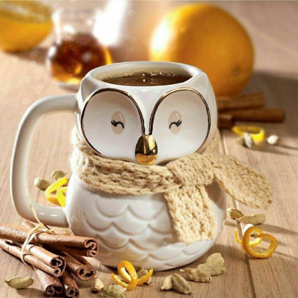 кружка совенок оливер