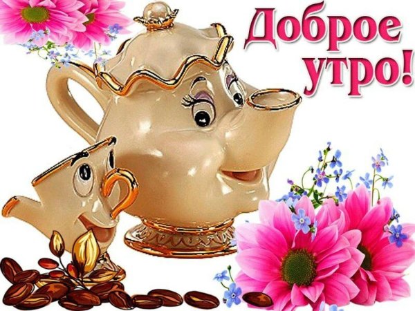 всм кто допроснулся доброе утро