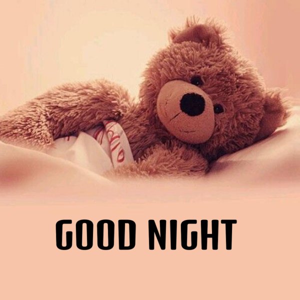 good night good night