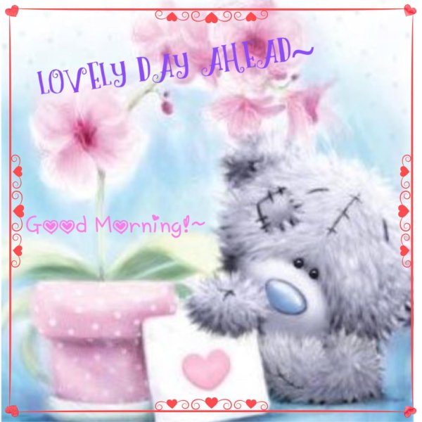 открытка с мишкой