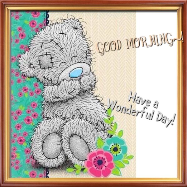 тедди good morning