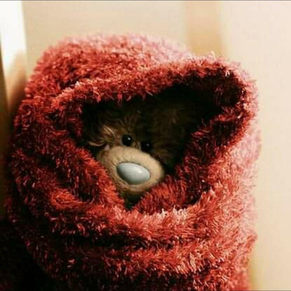 грустный медвежонок