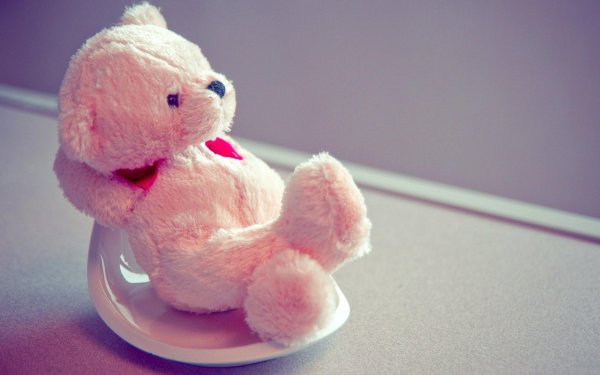 красивые мишки