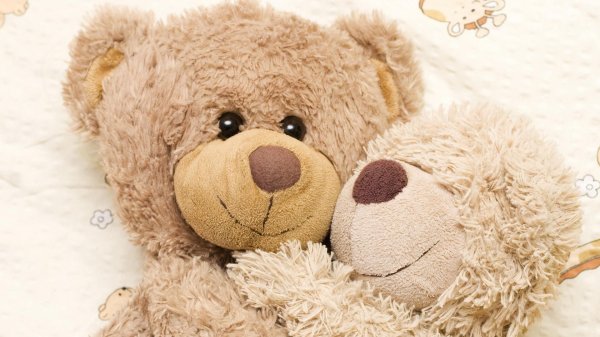 плюшевые медведи