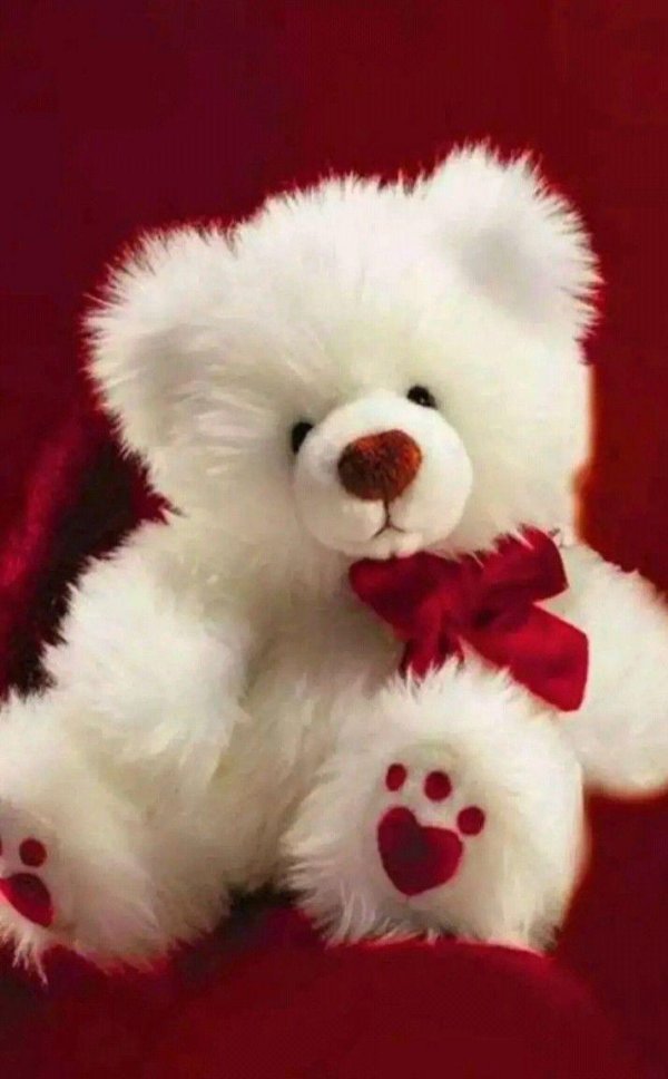 плюшевые медведи