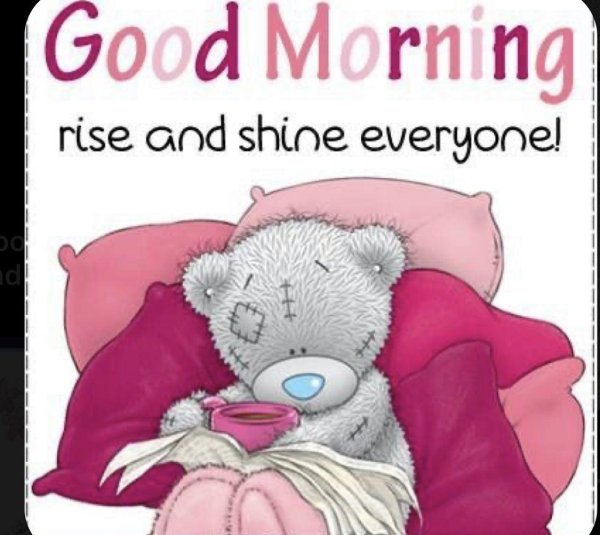 good morning мишки