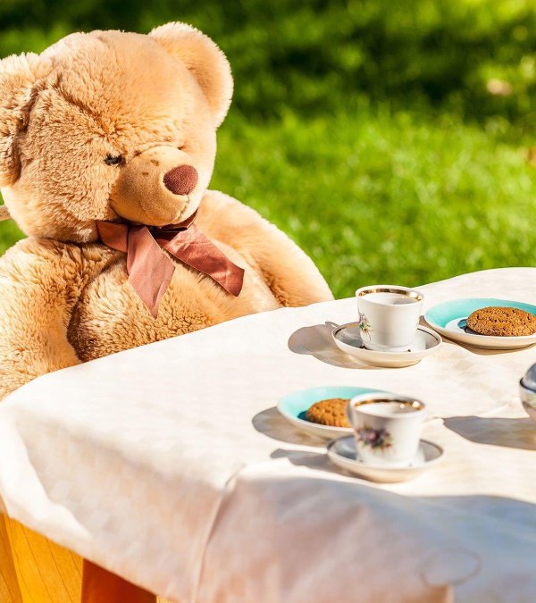 плюшевые медведи