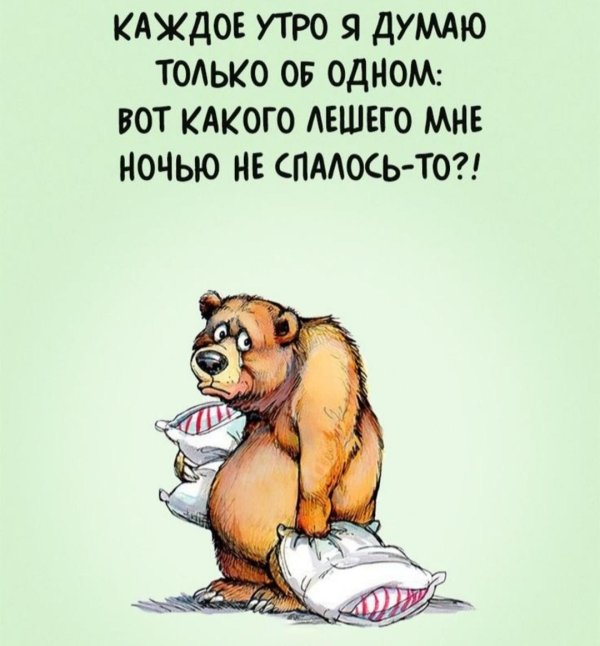 медведь устал