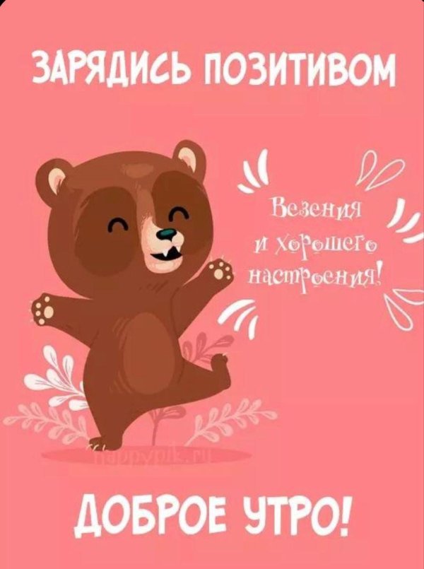 мультяшные медведи