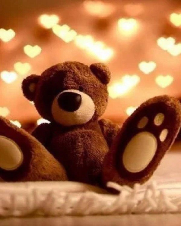 спокойной ночи медвежонок