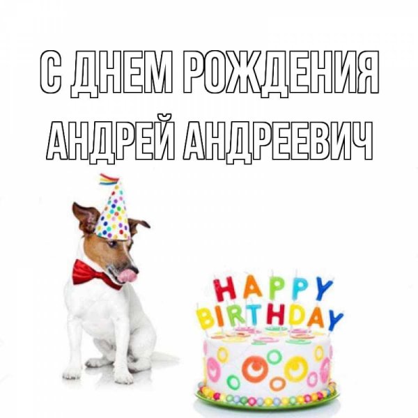 с днем рождения андрей андреевич