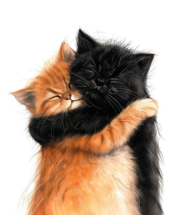 котики милые рисунки