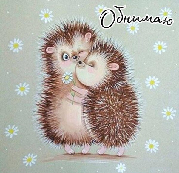 ежики любовь