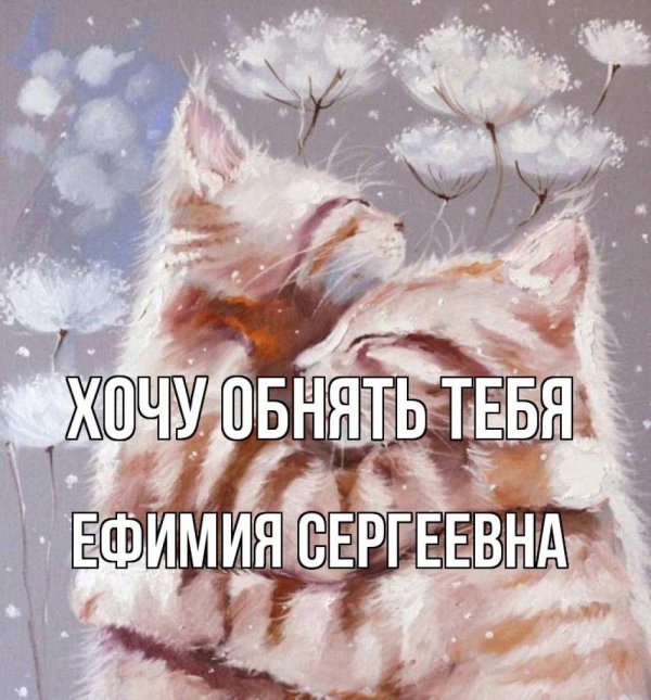 елена алексеева художник котов