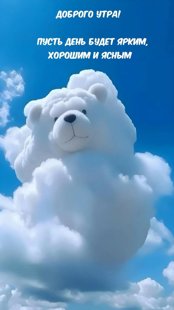 медведь на облаке